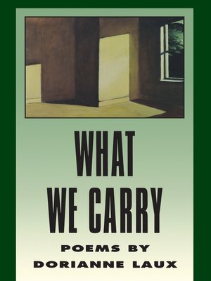 cover image of What We Carry